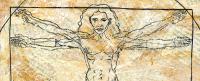 A drawing of Leonardo da Vinci's Vitruvian Man with a female figure.